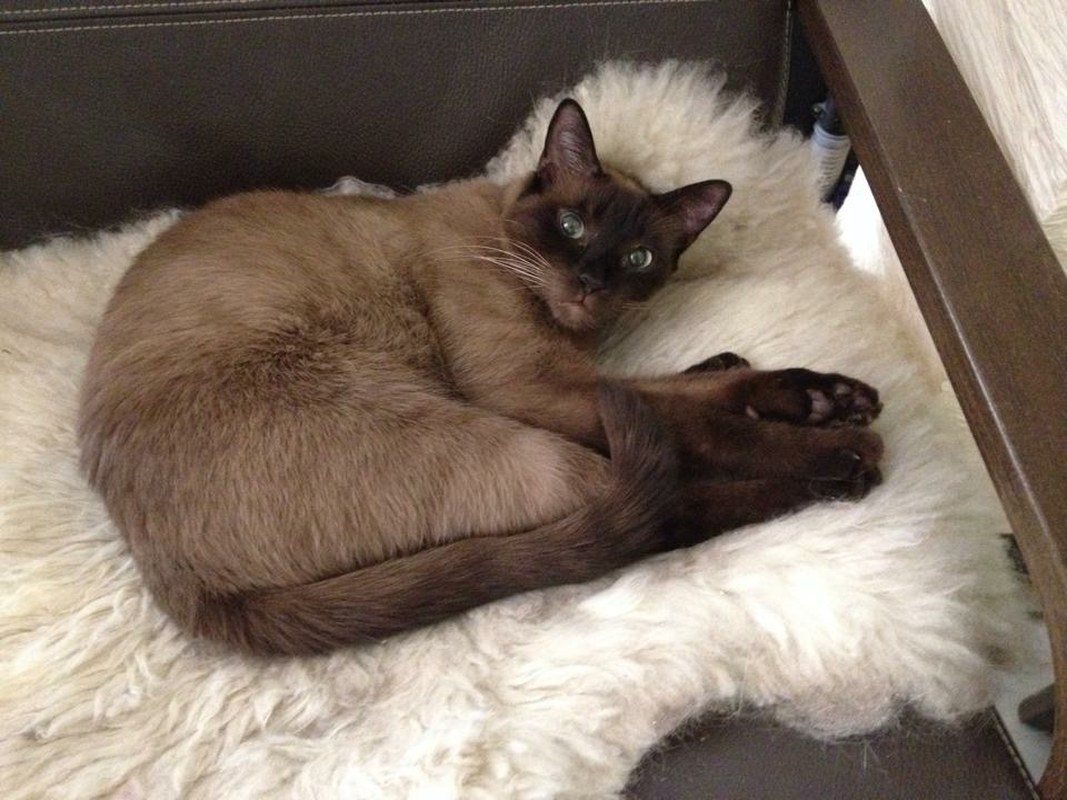 Do Not Disturb!!