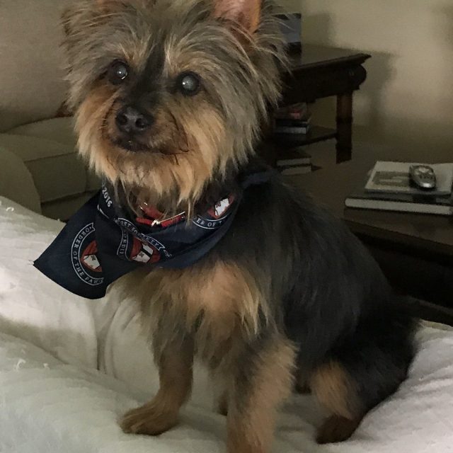Feeling Snazzy After A Trim