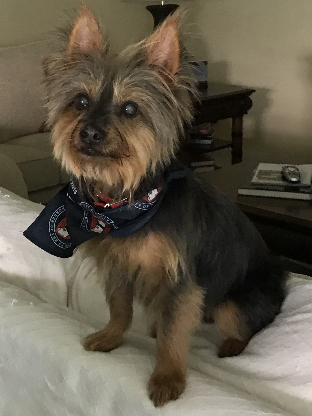 Feeling Snazzy After A Trim