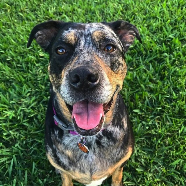 Can I Have My Cookie, Now?