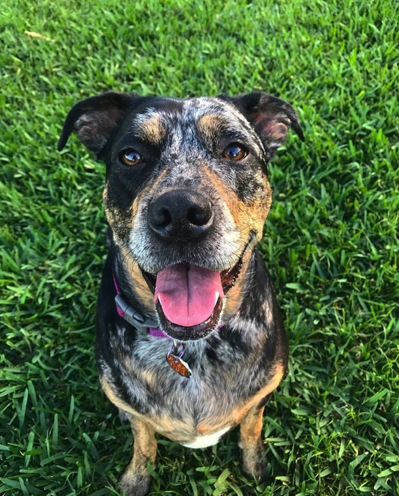 Can I Have My Cookie, Now?