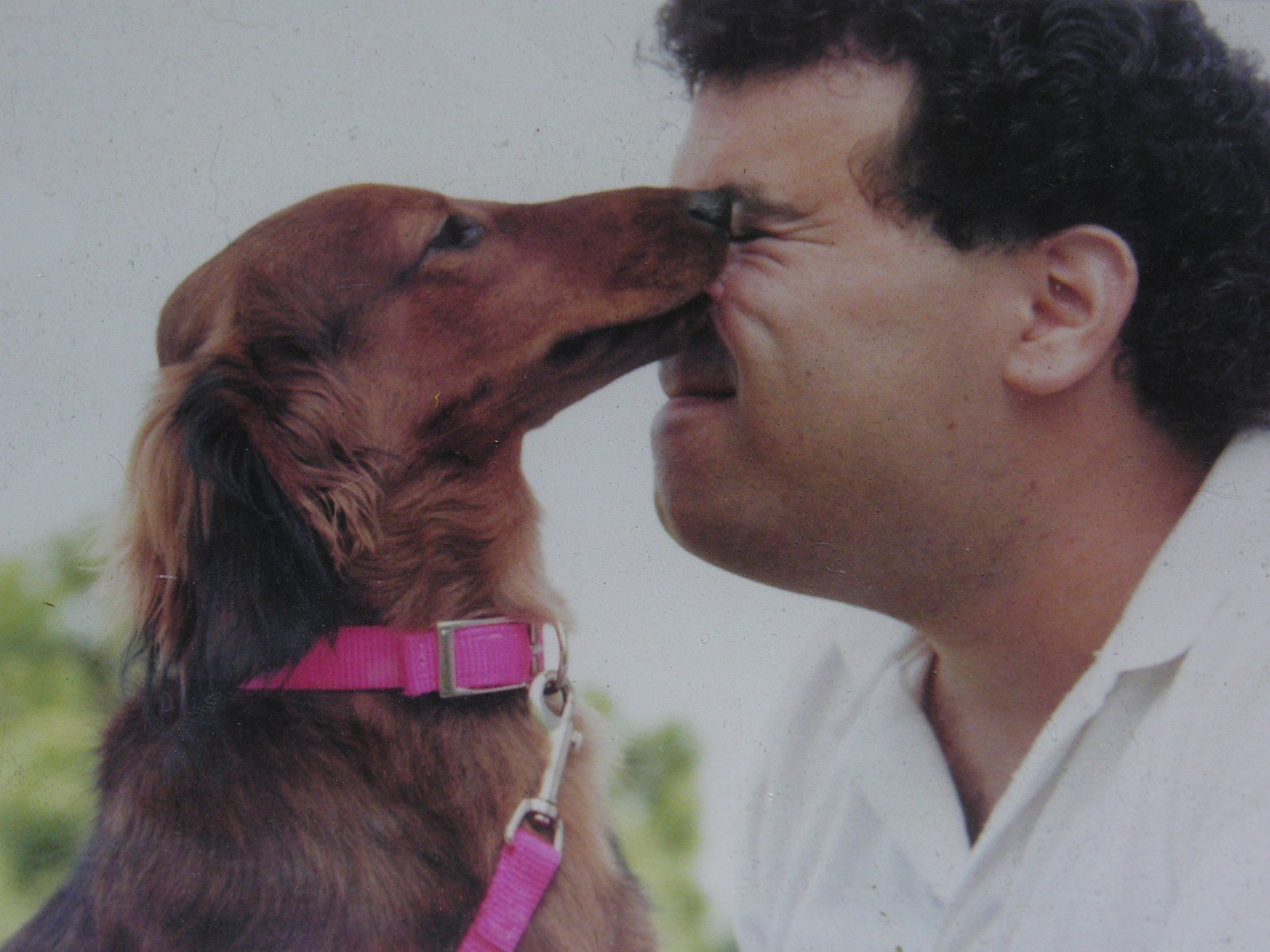 Puppy KIsses