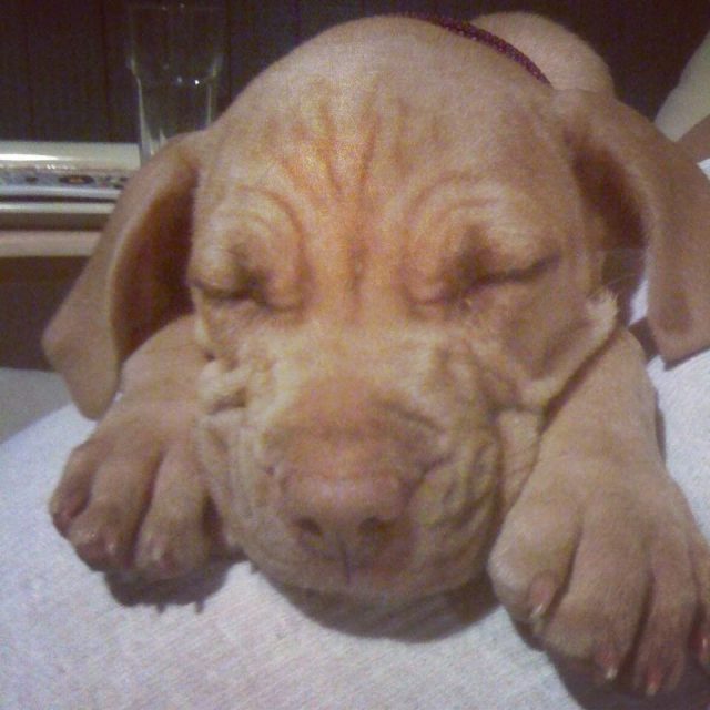 Nap Time