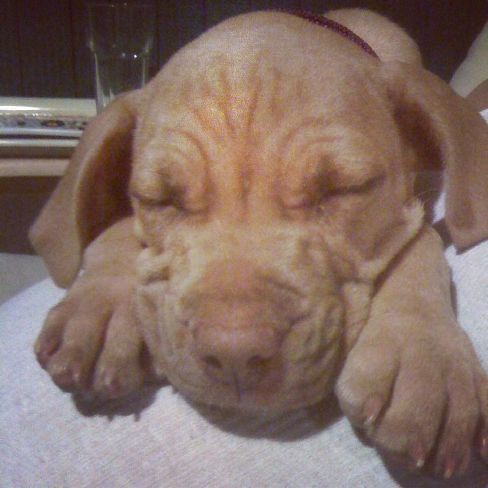 Nap Time