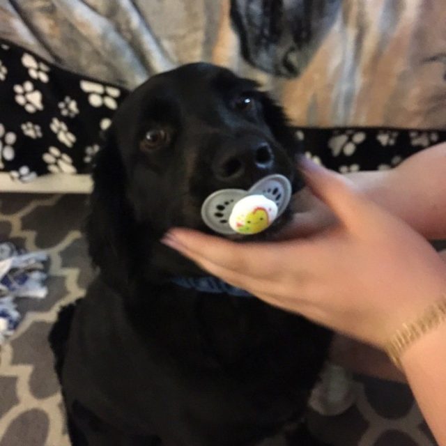 Cute Baby