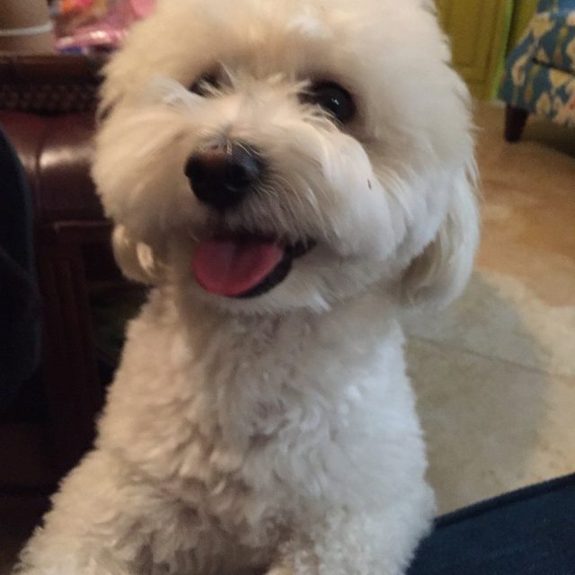 Smile!