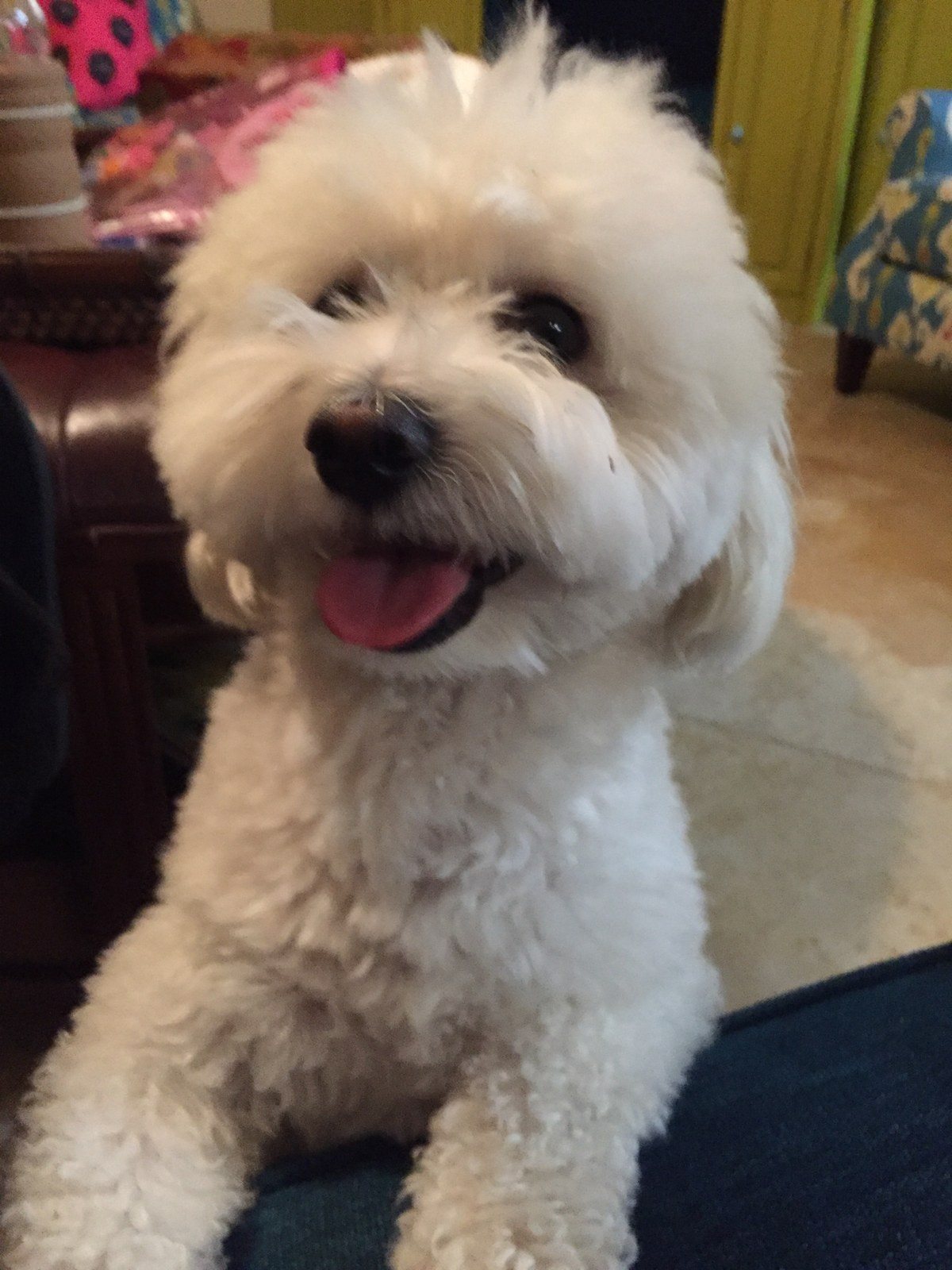 Smile!