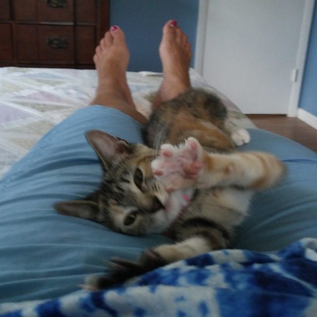 Play With Me