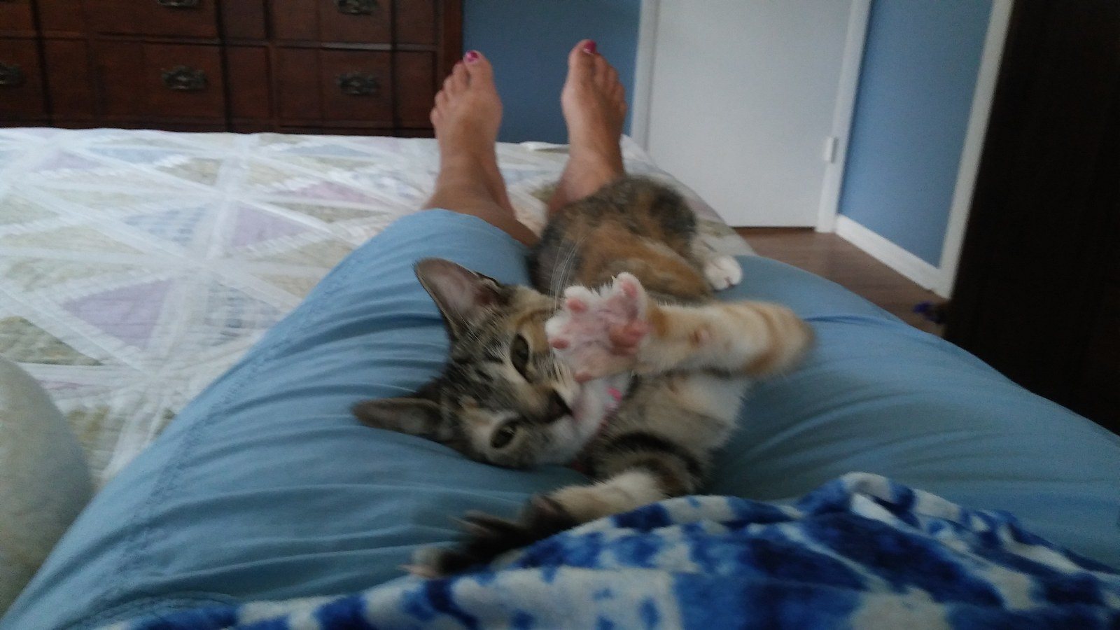 Play With Me