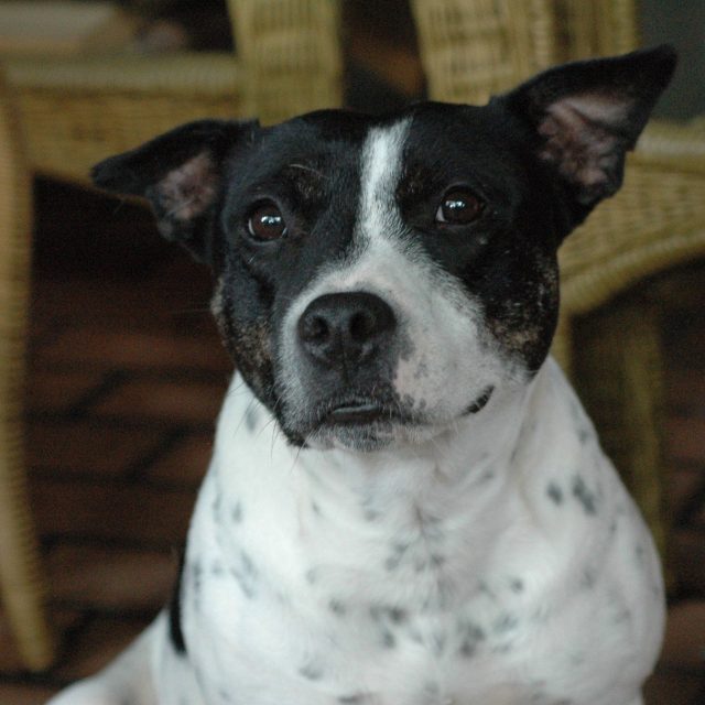 My Tilly