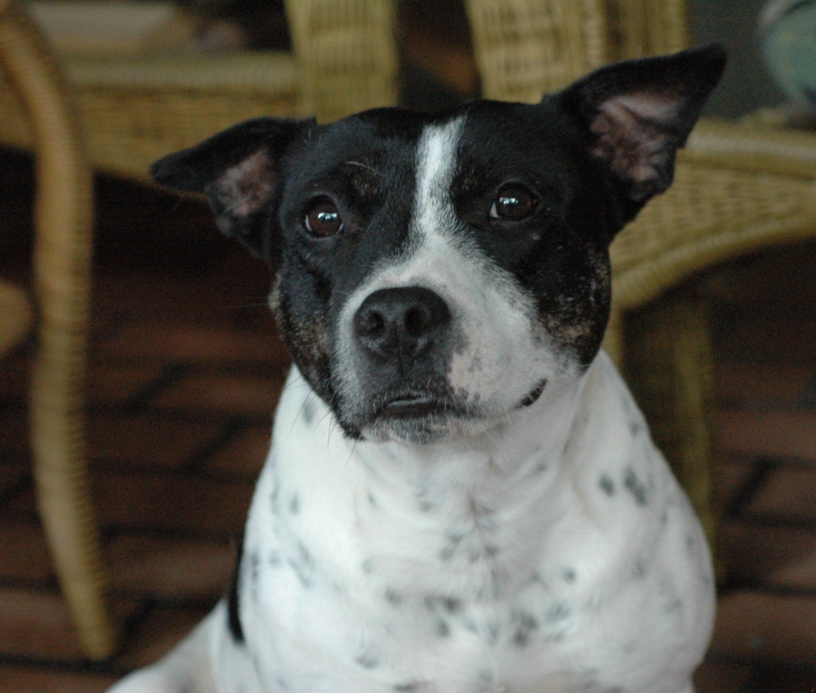My Tilly