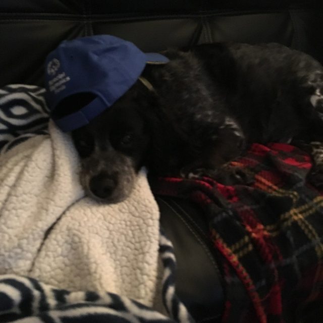 Rough Day At The Office