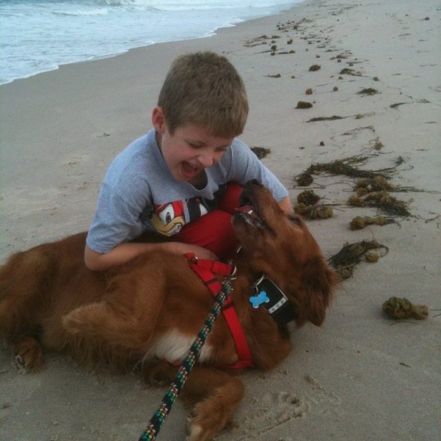 Buddies On The Beach