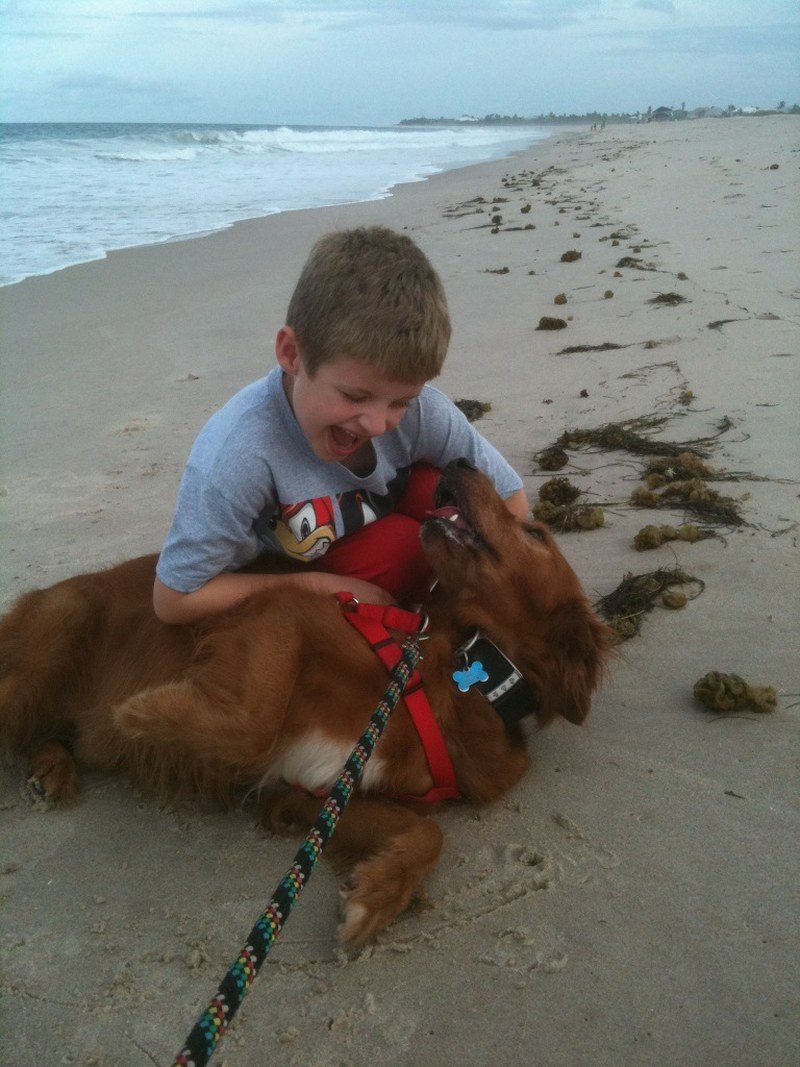 Buddies On The Beach