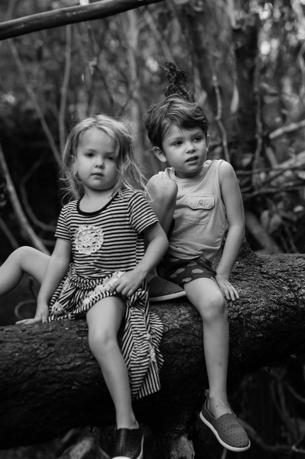 Hiking Vero Trails