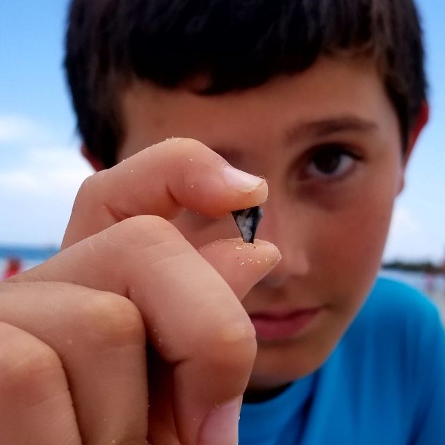 Is It A Tooth?