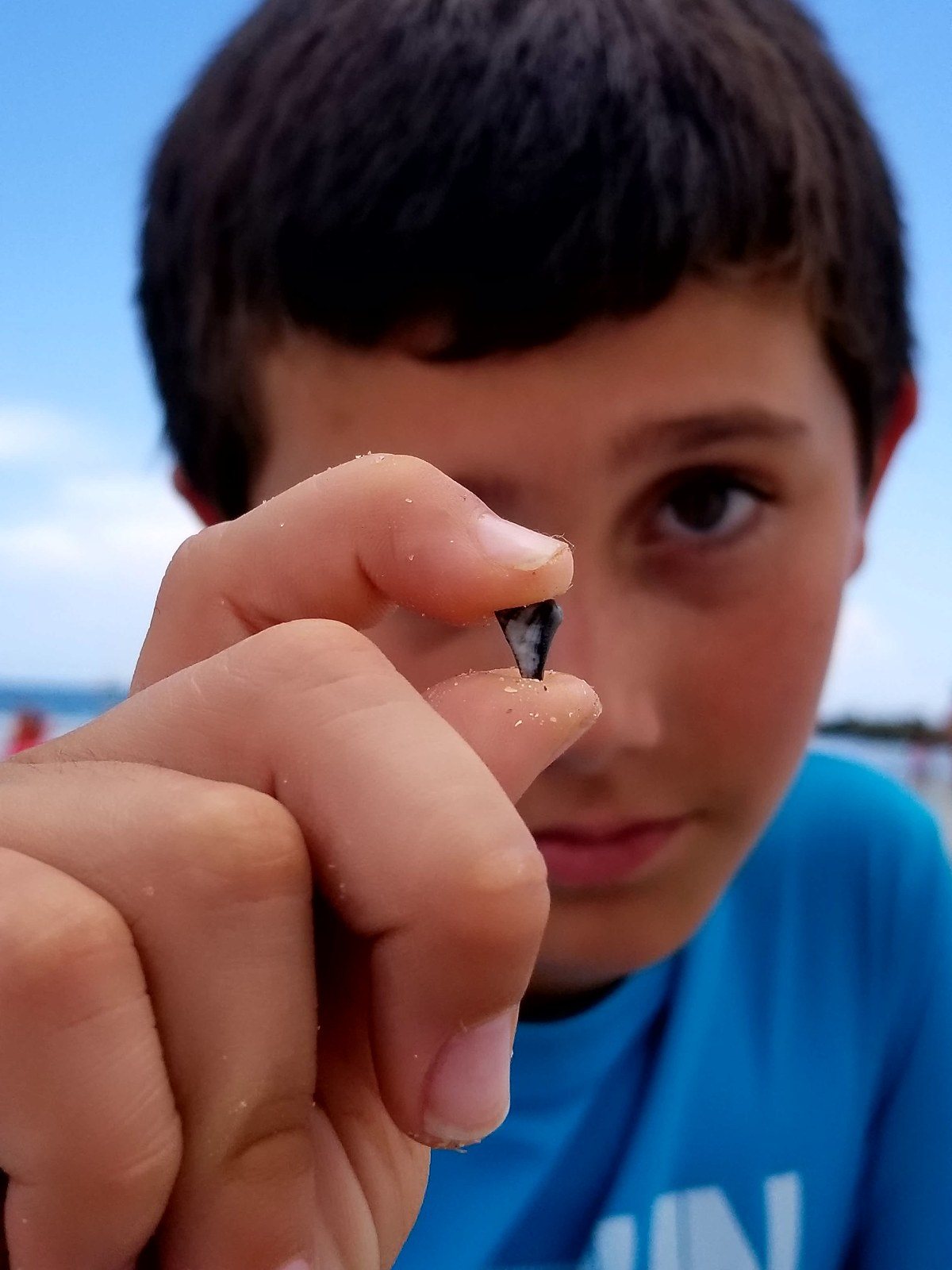 Is It A Tooth?
