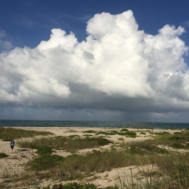 Beautiful Beach