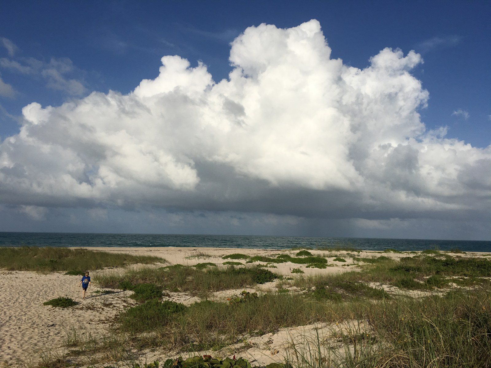 Beautiful Beach