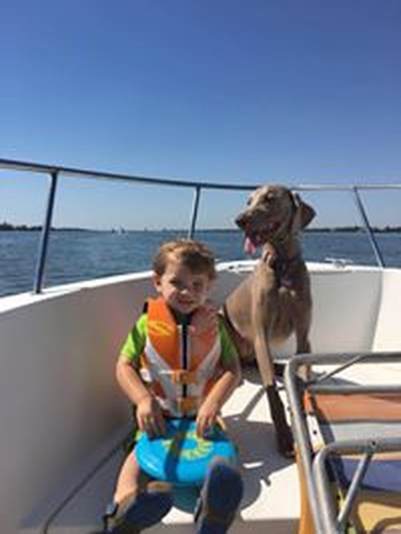 Boys Best Friend