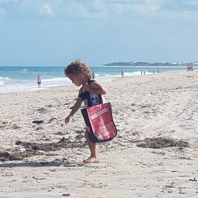 Spotting Seashells