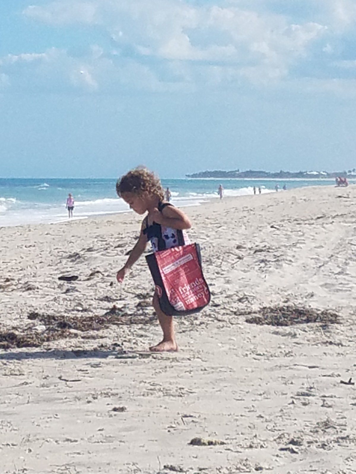Spotting Seashells