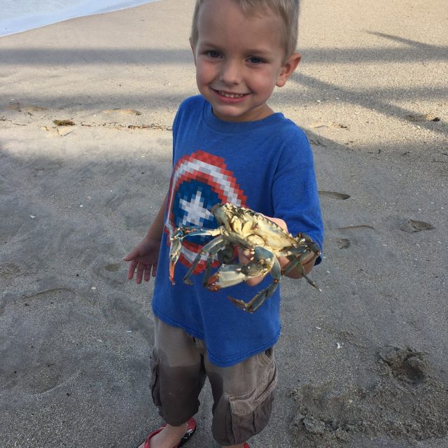 Captain Crabby!
