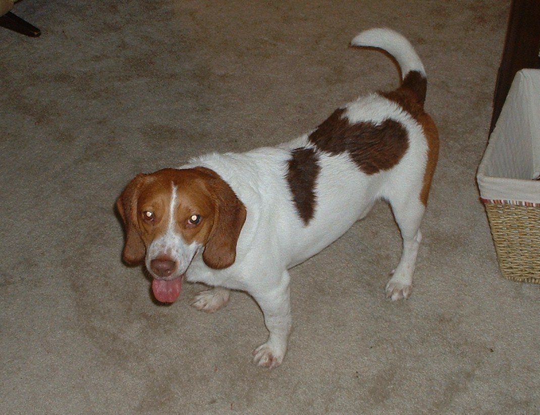 Happy That The Bath Is OVER.