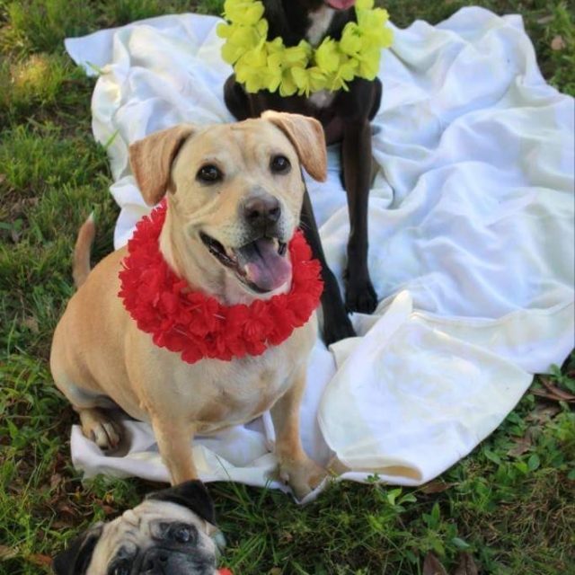 Florida Life (Eve, Jack And Sookie)