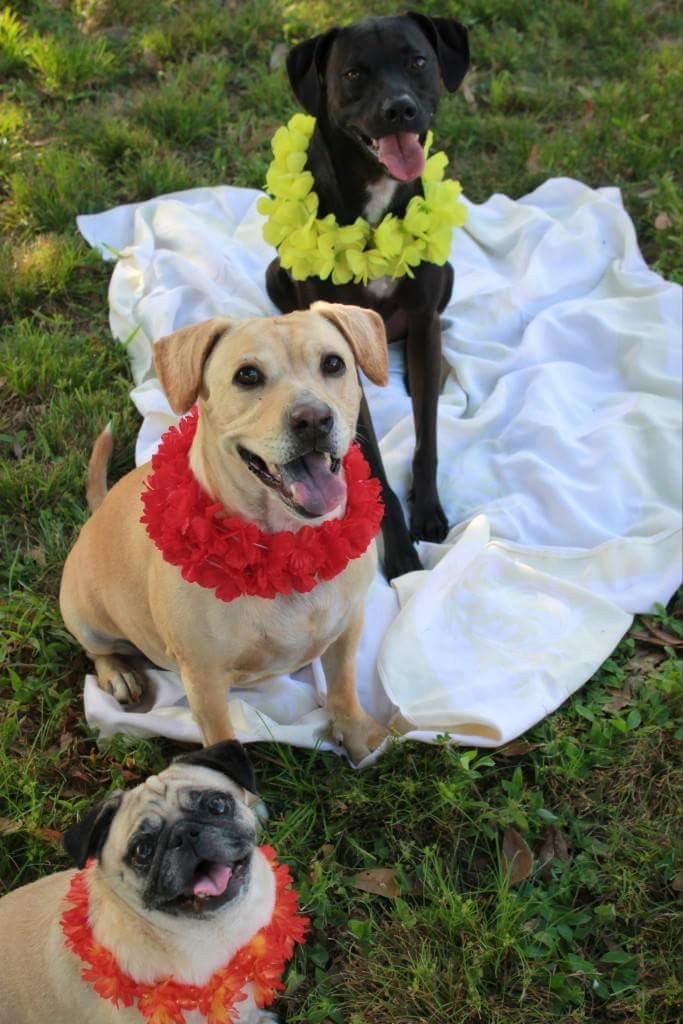 Florida Life (Eve, Jack And Sookie)