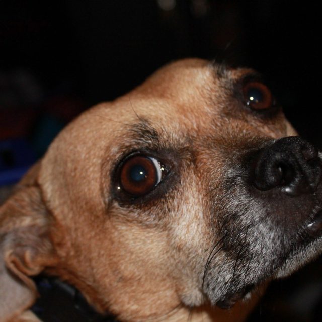 Who Me?
