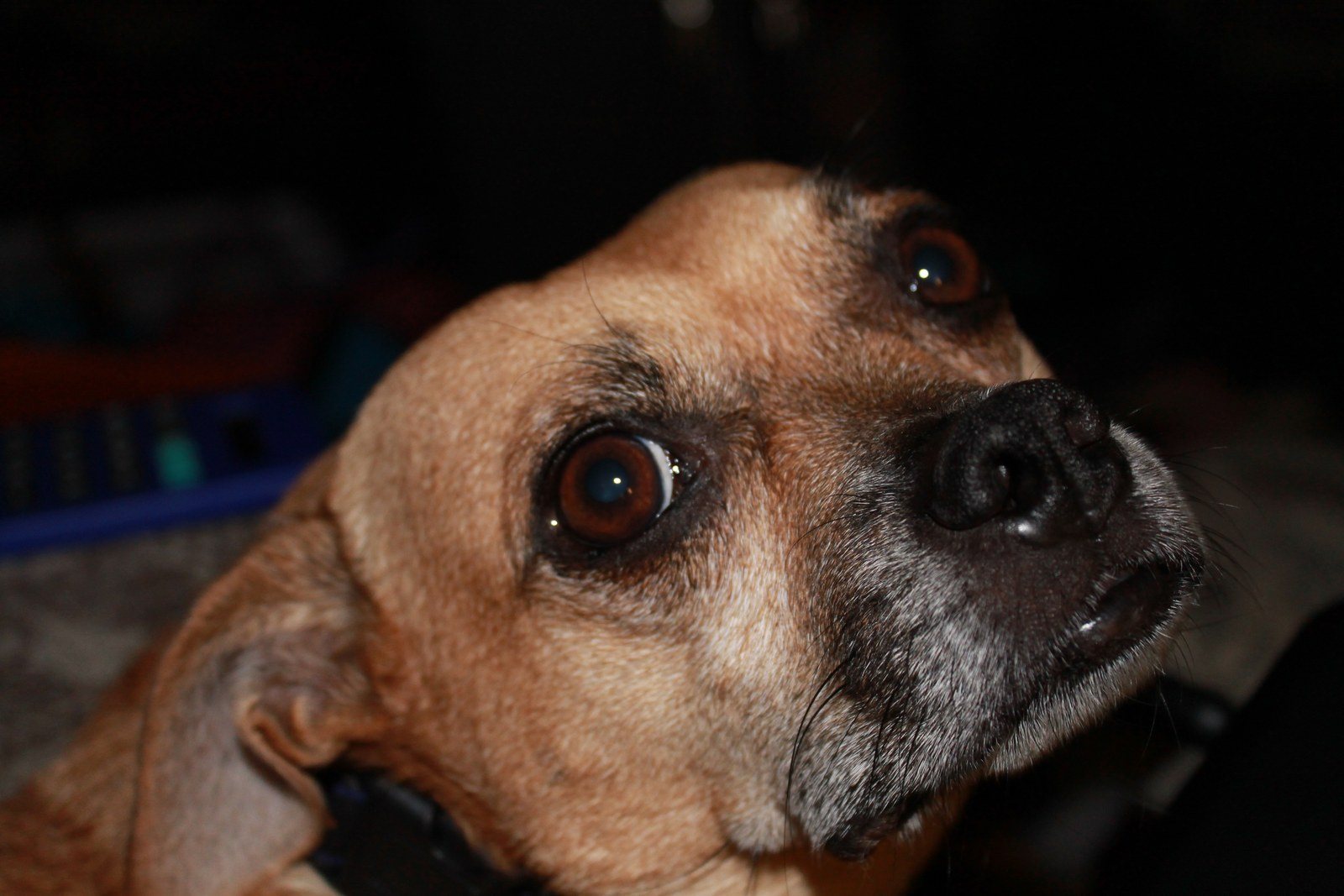 Who Me?