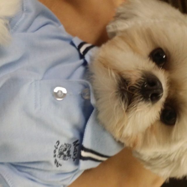 Posin' In A Polo