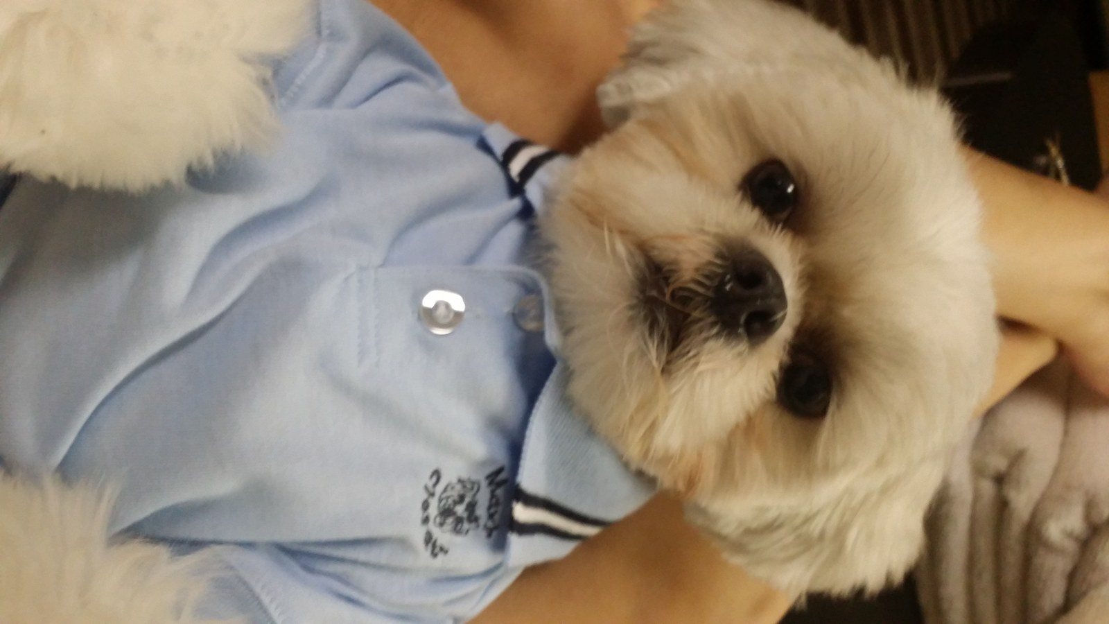 Posin' In A Polo