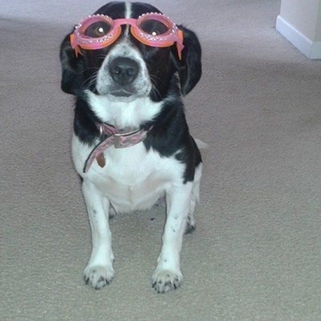 Everyone Needs To Look Fabulous When Swimming...