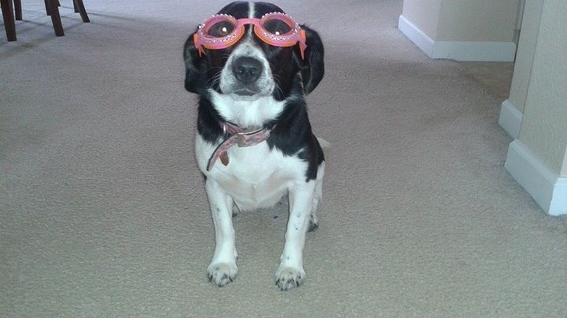 Everyone Needs To Look Fabulous When Swimming...
