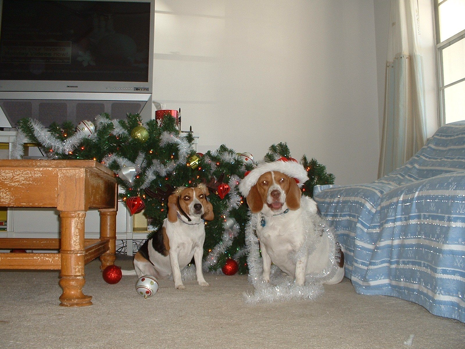 We're Still On The "Nice" List, Right?