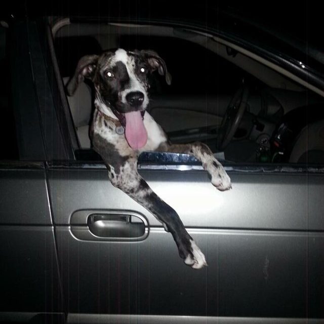 Riding In Style