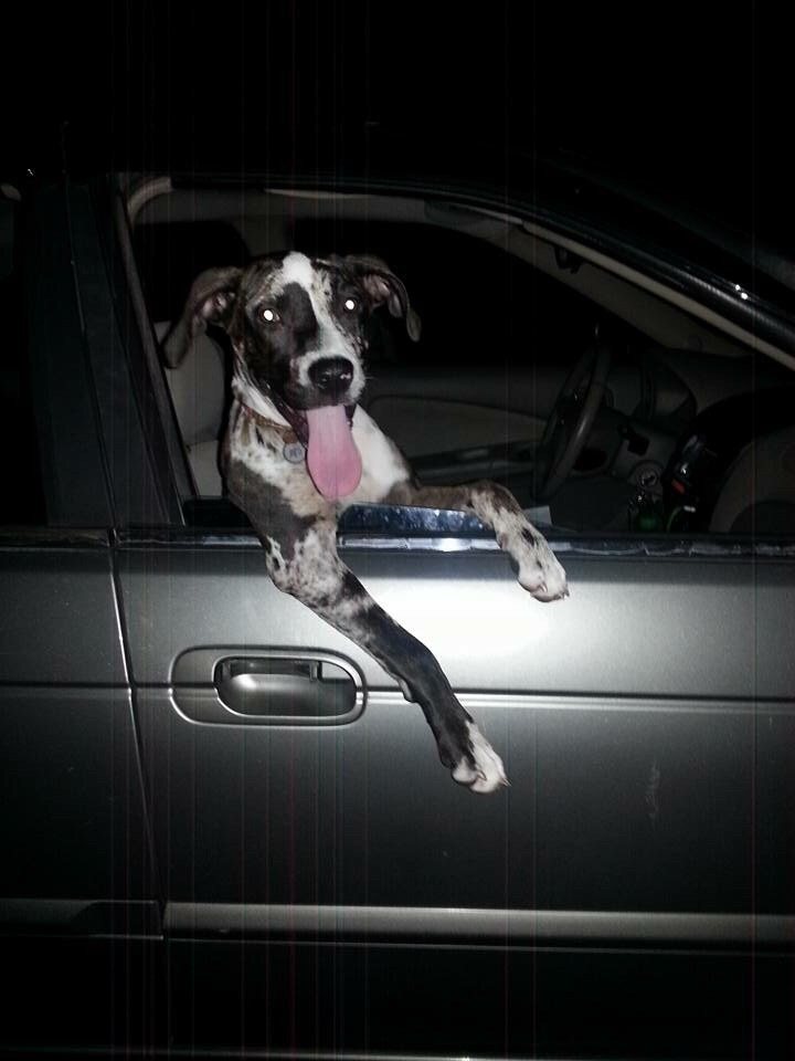 Riding In Style