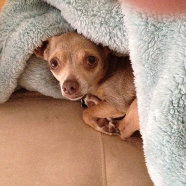 Is It Monday Already?
