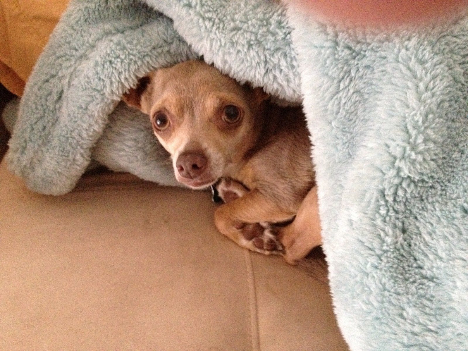 Is It Monday Already?
