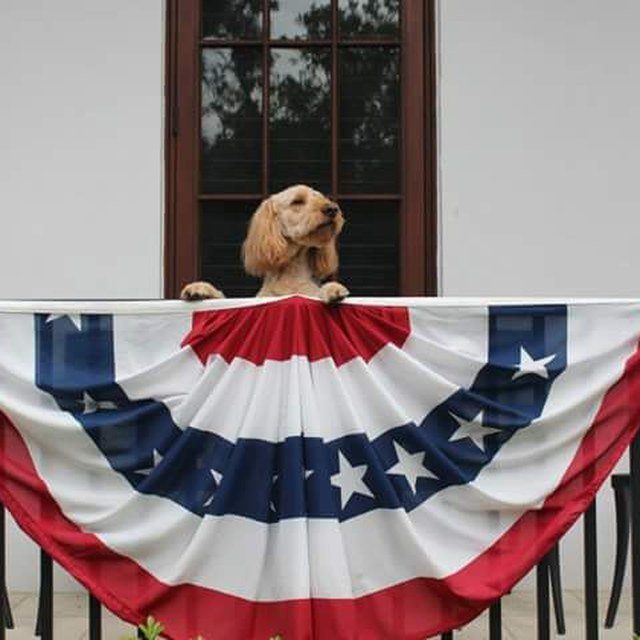 Yankee Doodle Dandy