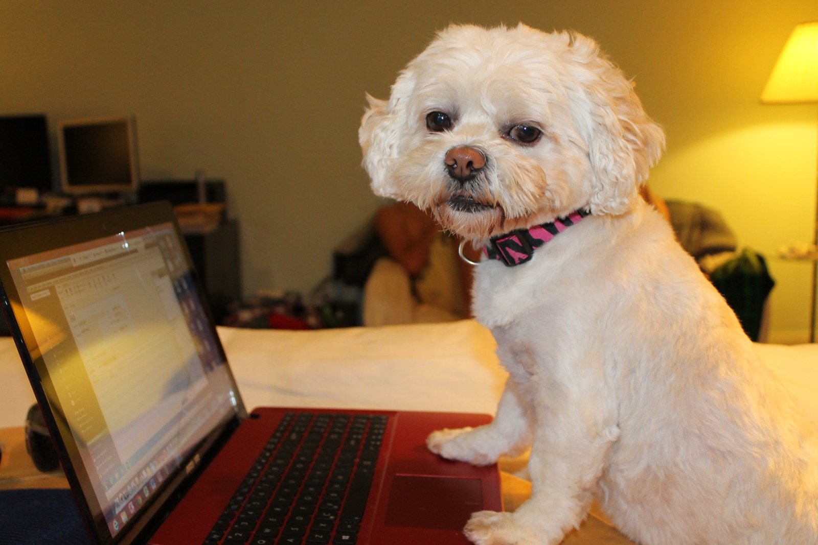 Lily, Behind The Scenes Of Skar Technologies