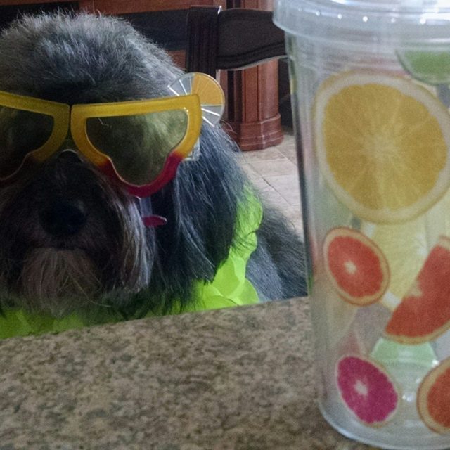 Got My Party On !