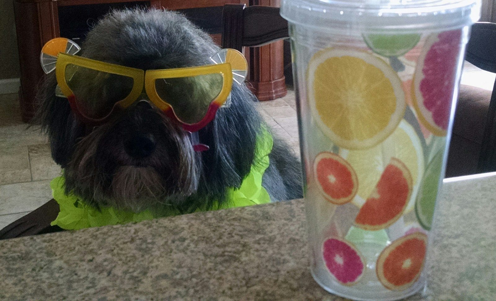 Got My Party On !