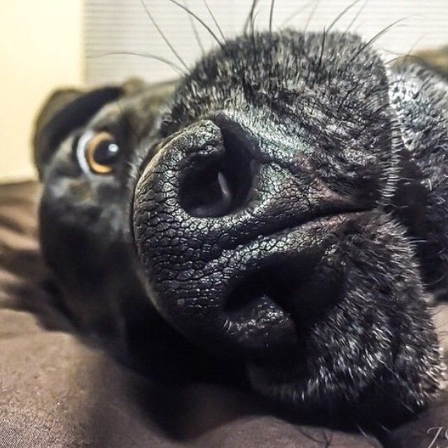 Can I Help You