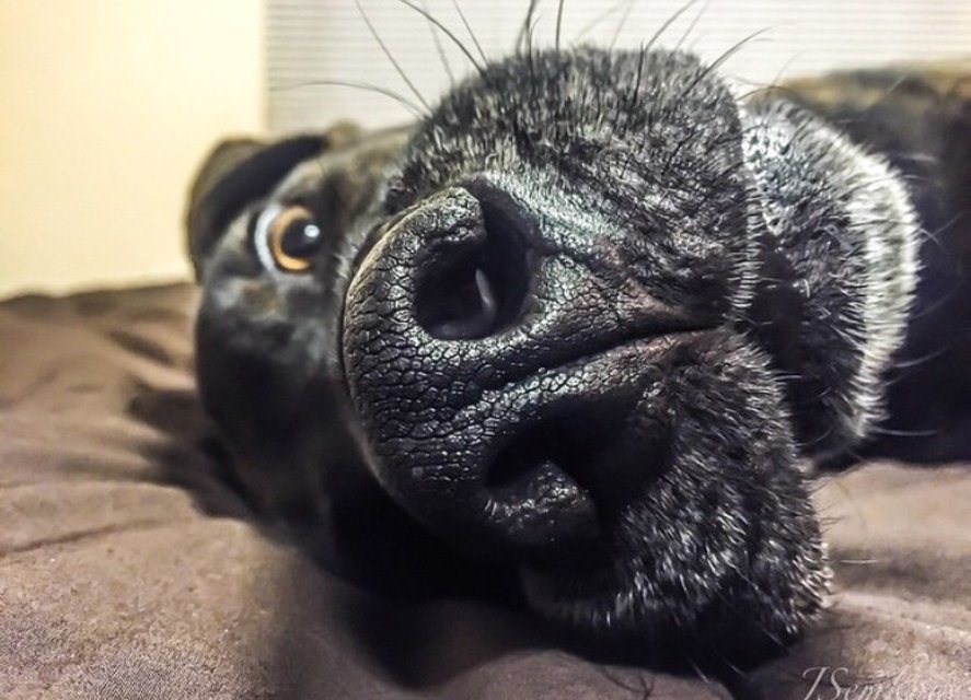 Can I Help You