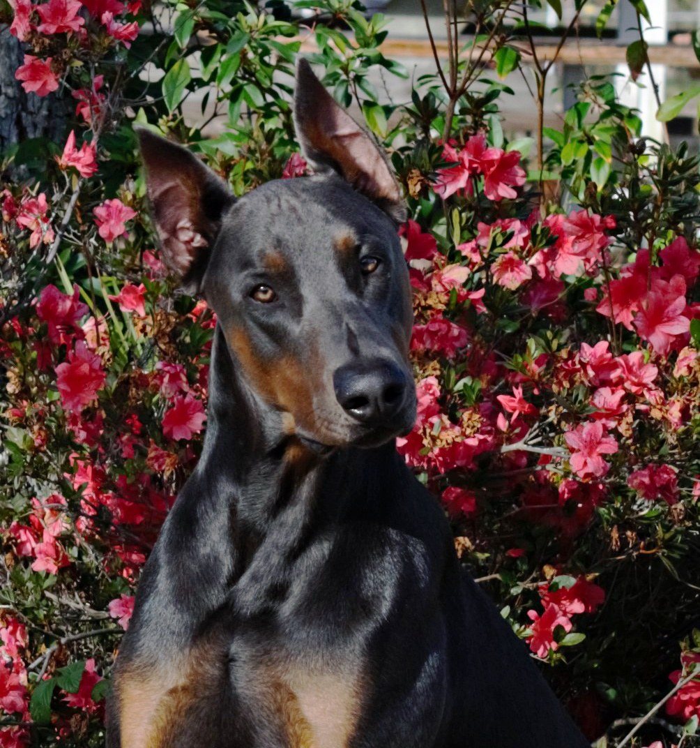 Beautiful Boy