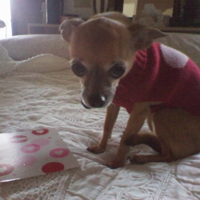 Lilah...15 Y.o. Young!!