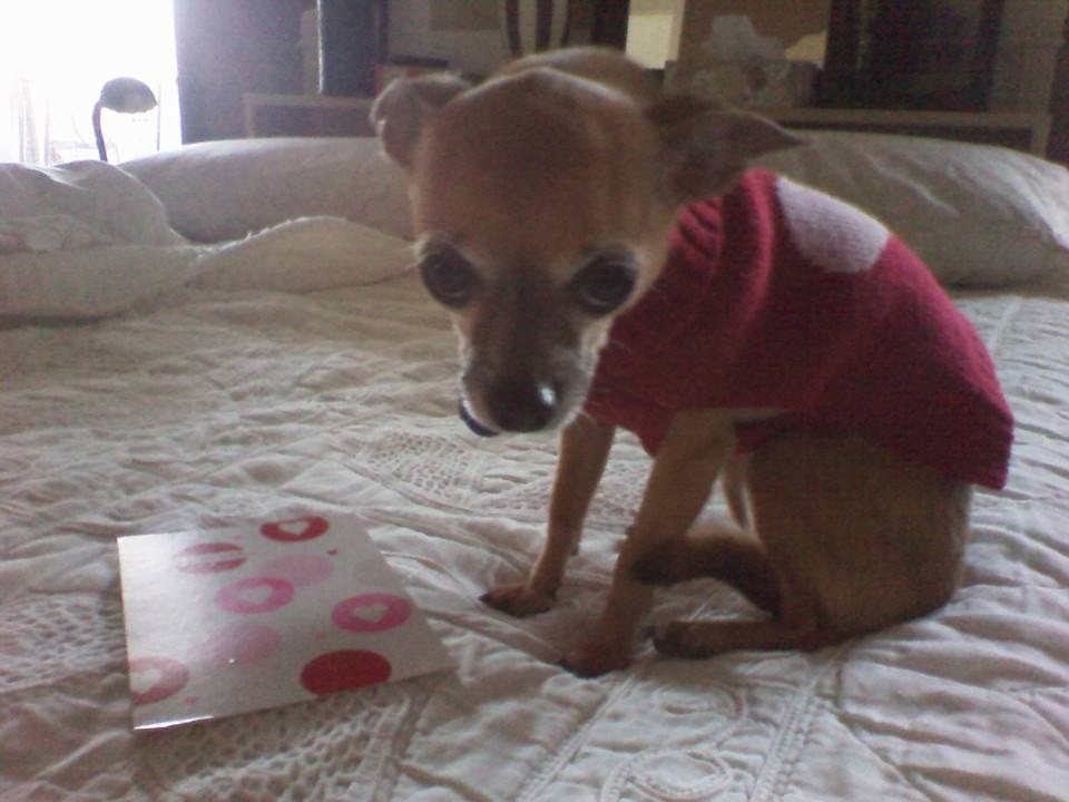Lilah...15 Y.o. Young!!